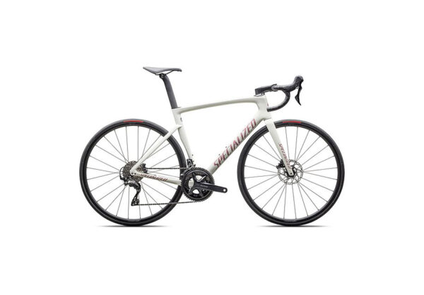 Folding Travel Bike